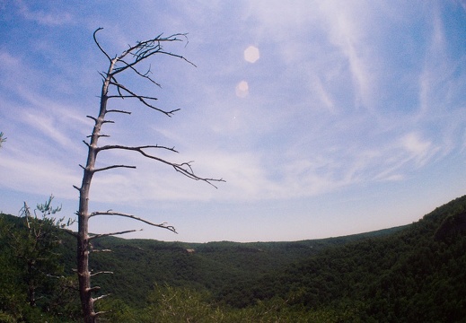 Big South Fork country